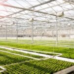 Werkvoorbereider techniek en glastuinbouw glastuinbouw 550